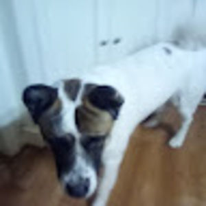 Meet your Posher, Colby
